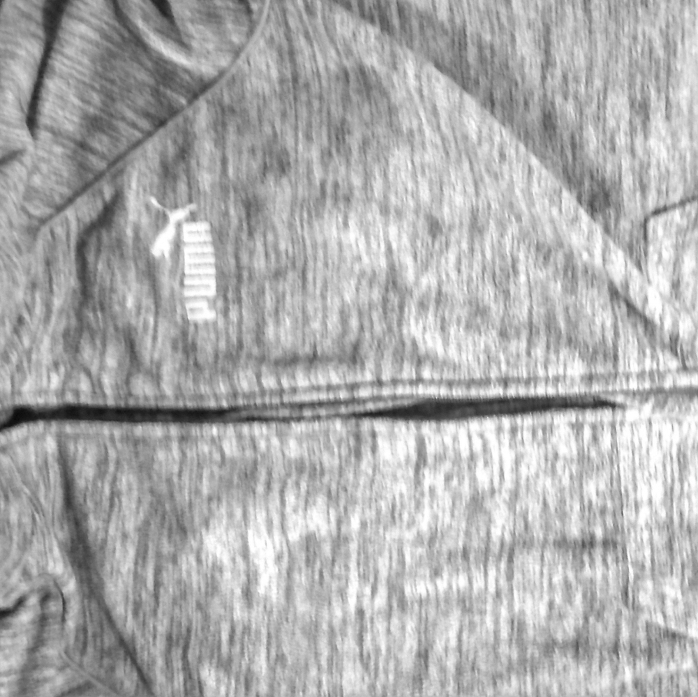 Gray puma jacket